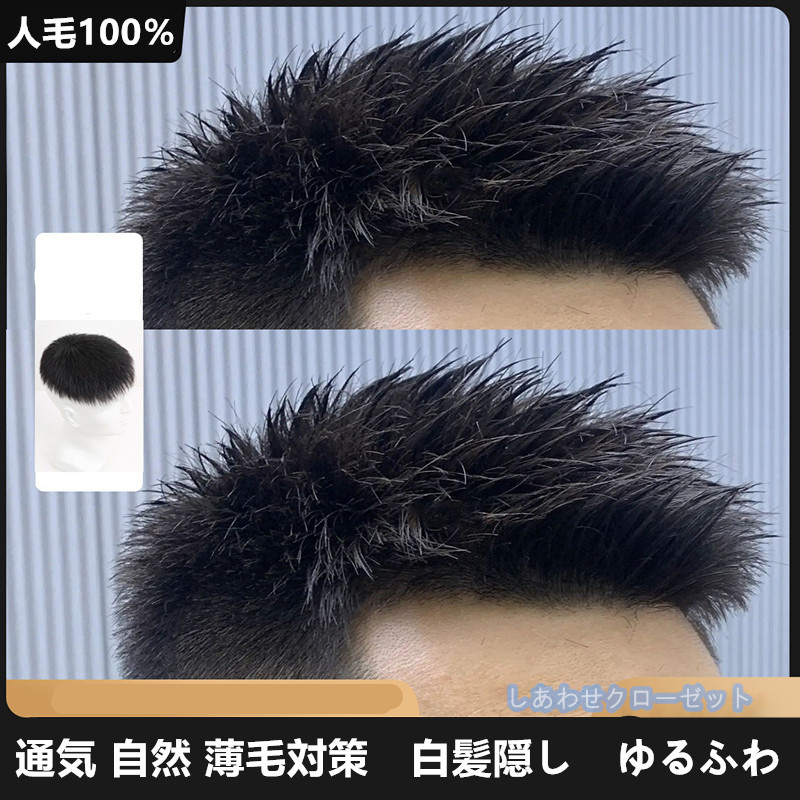人毛100％ ウィッグ メンズ トップウィッグ 自然 フルウィッグ