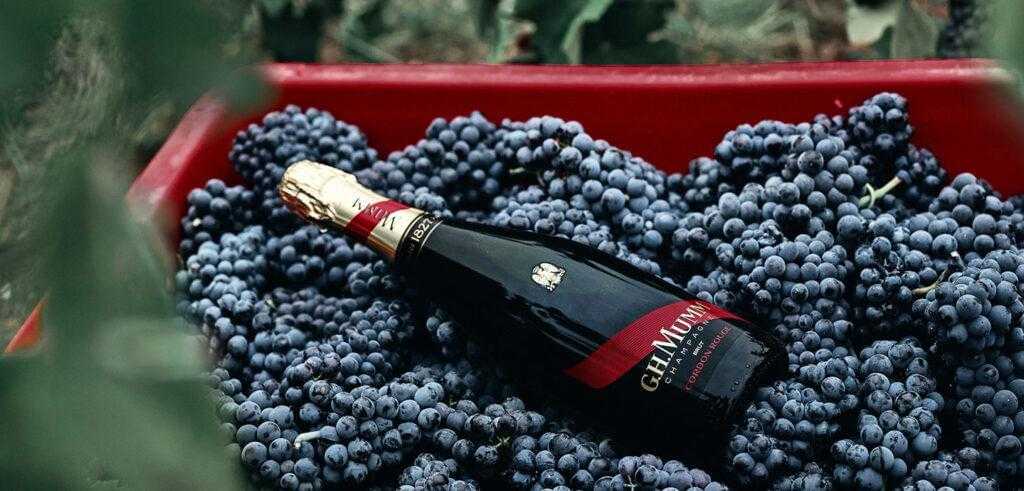 マム コルドン ルージュ[正規品][化粧箱入り][シャンパーニュ] Mumm