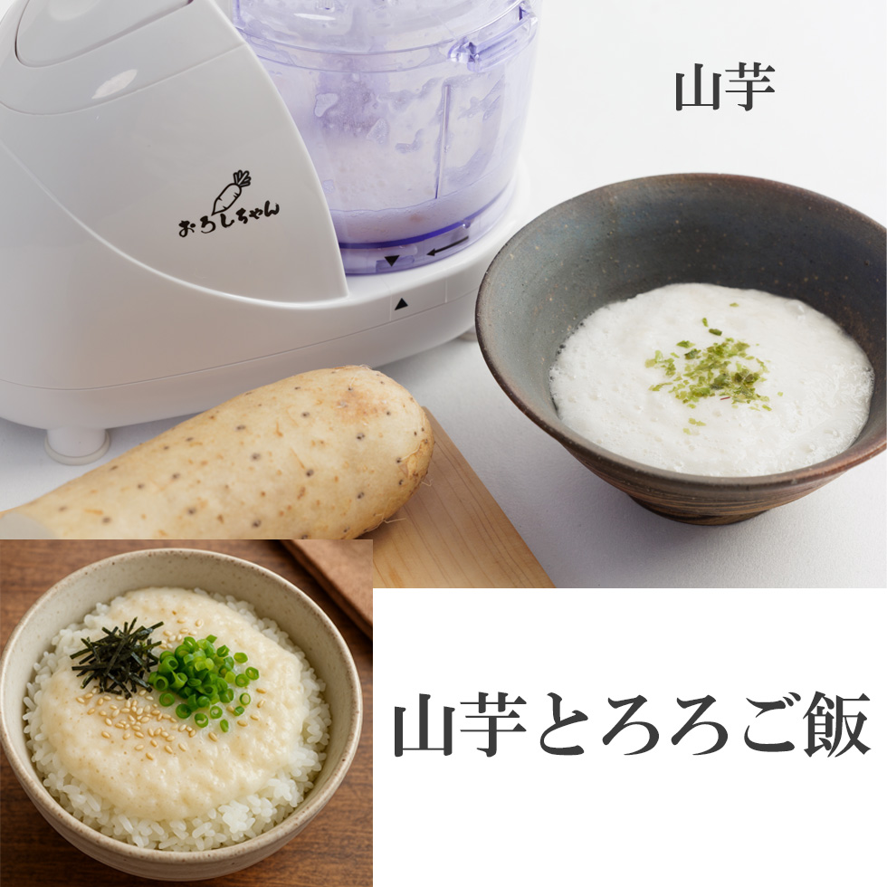 大根おろしを使った料理イメージ