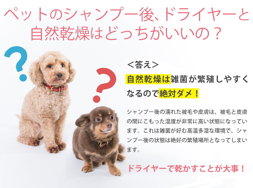 ペット用ドライヤー ペットドライヤー ペティオンスリム ペット用品 犬