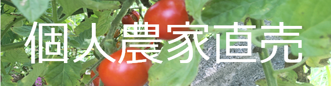 柴田自然農園 ロゴ