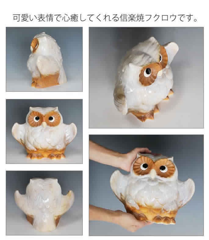 信楽焼 ふくろう 陶器 フクロウ 置物 かわいい おしゃれ ギフト 玄関