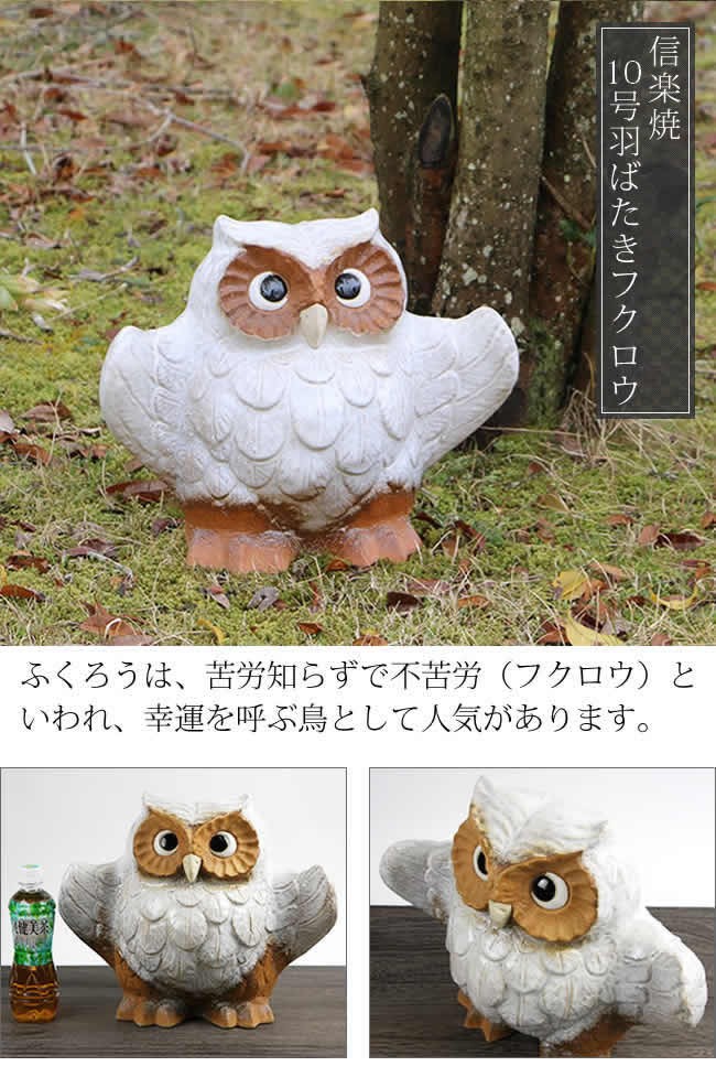 信楽焼 ふくろう 陶器 フクロウ 置物 かわいい おしゃれ ギフト 玄関