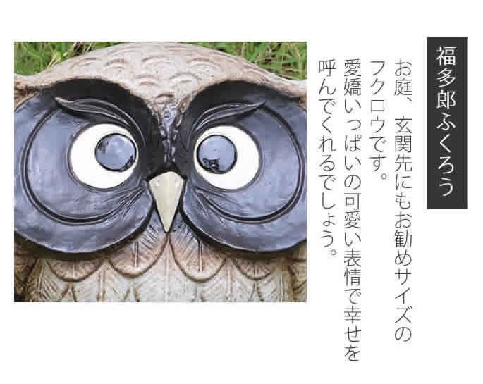 信楽焼 ふくろう 陶器 フクロウ 置物 かわいい おしゃれ ギフト 玄関