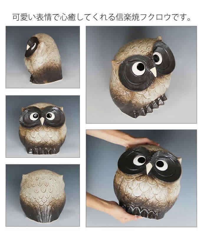信楽焼 ふくろう 陶器 フクロウ 置物 かわいい おしゃれ ギフト 玄関
