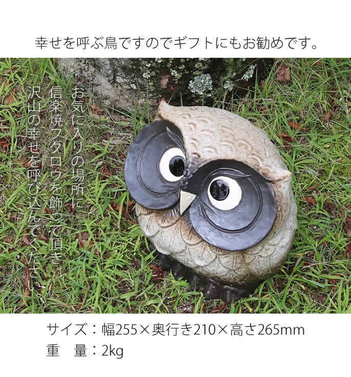信楽焼 ふくろう 陶器 フクロウ 置物 かわいい おしゃれ ギフト 玄関