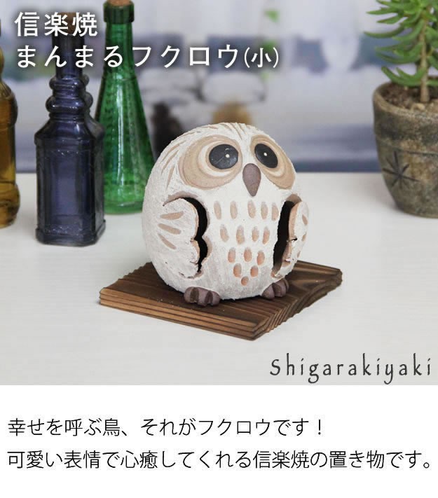 信楽焼 ふくろう 陶器 フクロウ 置物 かわいい おしゃれ ギフト 玄関