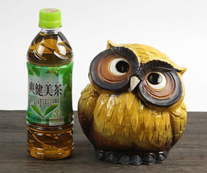 信楽焼 ふくろう 陶器 フクロウ 置物 かわいい おしゃれ ギフト 玄関