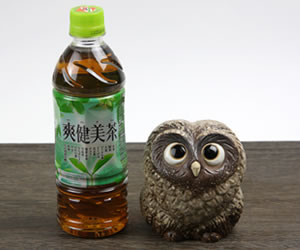 信楽焼 ふくろう 陶器 フクロウ 置物 かわいい おしゃれ ギフト 玄関