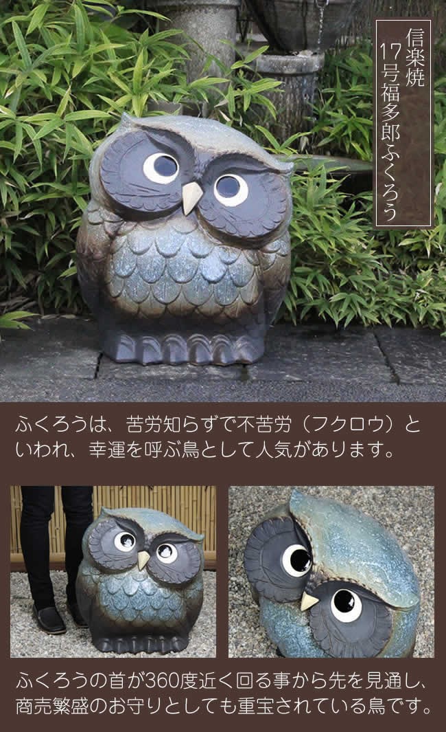 信楽焼 ふくろう 陶器 フクロウ 置物 かわいい おしゃれ ギフト 玄関