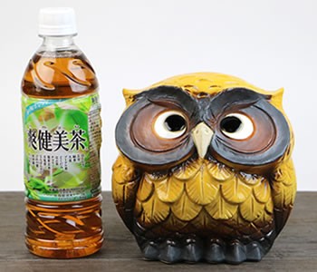 信楽焼 ふくろう 陶器 フクロウ 置物 かわいい おしゃれ ギフト 玄関
