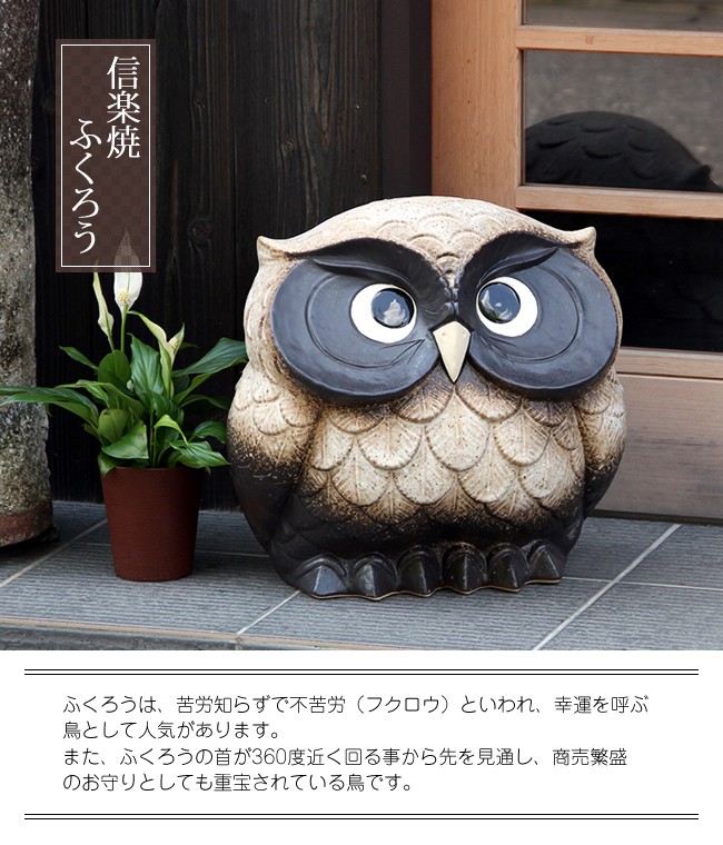 信楽焼 ふくろう 陶器 フクロウ 置物 かわいい おしゃれ ギフト 玄関