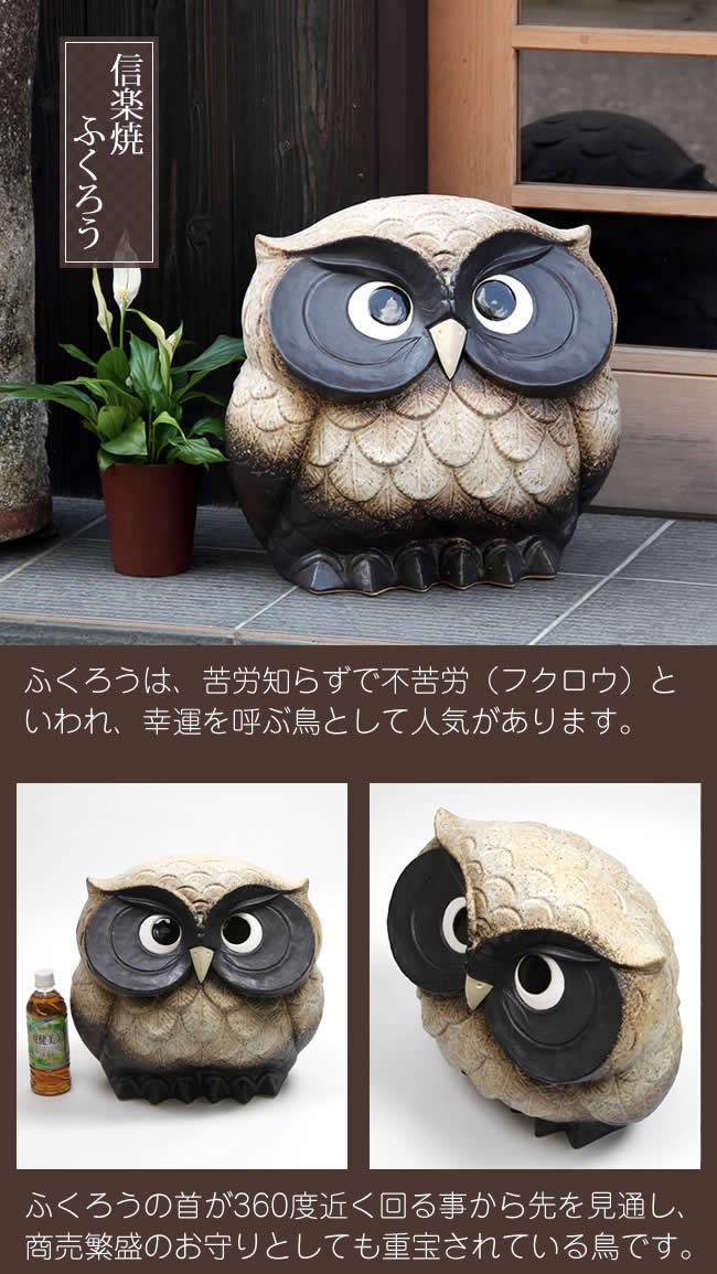 信楽焼 ふくろう 陶器 フクロウ 置物 かわいい おしゃれ ギフト 玄関
