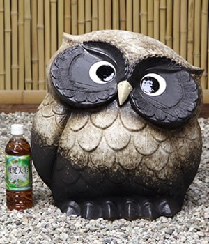 信楽焼 ふくろう 陶器 フクロウ 置物 かわいい おしゃれ ギフト 玄関