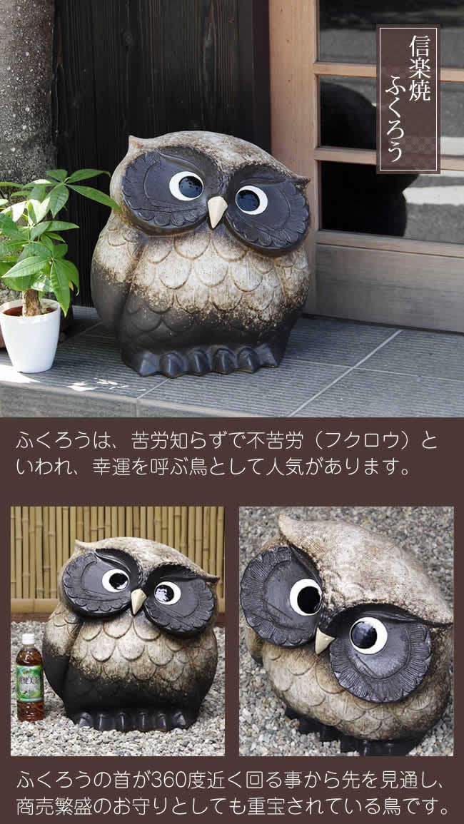 信楽焼 ふくろう 陶器 フクロウ 置物 かわいい おしゃれ ギフト