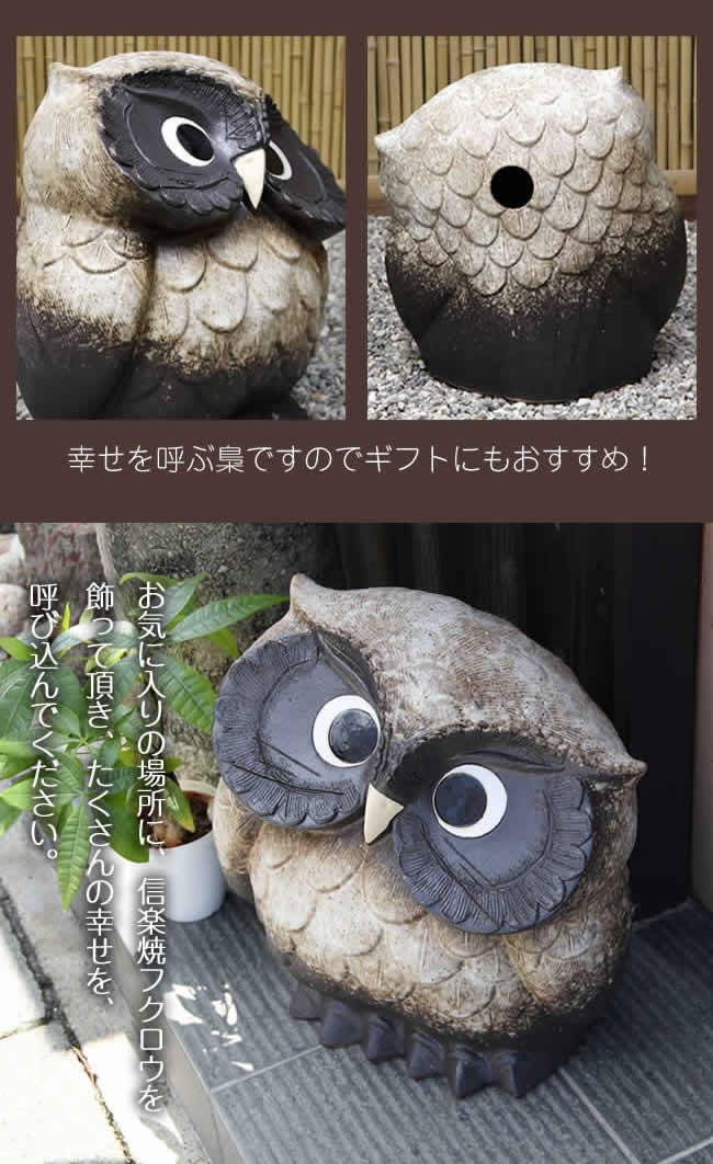 信楽焼 ふくろう 陶器 フクロウ 置物 かわいい おしゃれ ギフト 玄関