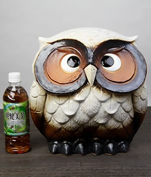 信楽焼 ふくろう 陶器 フクロウ 置物 かわいい おしゃれ ギフト 玄関