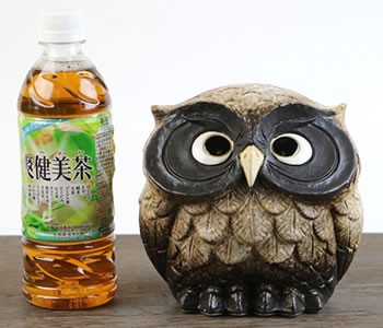 信楽焼 ふくろう 陶器 フクロウ 置物 かわいい おしゃれ ギフト 玄関