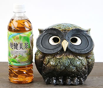 信楽焼 ふくろう 陶器 フクロウ 置物 かわいい おしゃれ ギフト 玄関