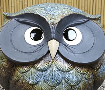 信楽焼 ふくろう 陶器 フクロウ 置物 かわいい おしゃれ ギフト 玄関