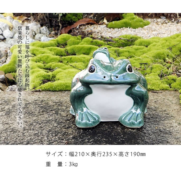 信楽焼 かえる 置物