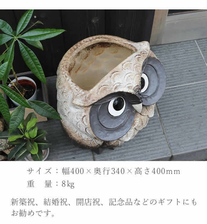 傘立て 陶器 信楽焼 おしゃれ フクロウ 傘入れ モダン シンプル 玄関