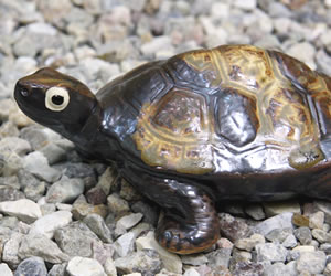 信楽焼 6号福亀おきもの 長寿にご利益がある亀 縁起物のかめ置物 陶器