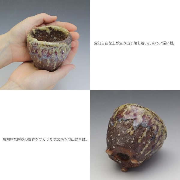 信楽焼 山野草鉢 手づくり 山草鉢 鉢 山草 コケ玉やき 手作り sa