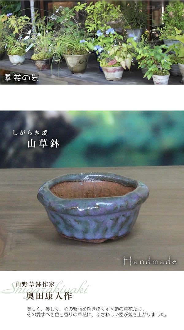 信楽焼 山野草鉢 手づくり 山草鉢 鉢 山草 鉢 コケ玉やき 手作り sa