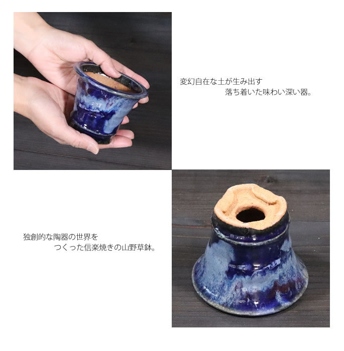 山野草鉢 信楽焼 手づくり 山草鉢 鉢 山草 コケ玉 手作り 植木鉢 陶器