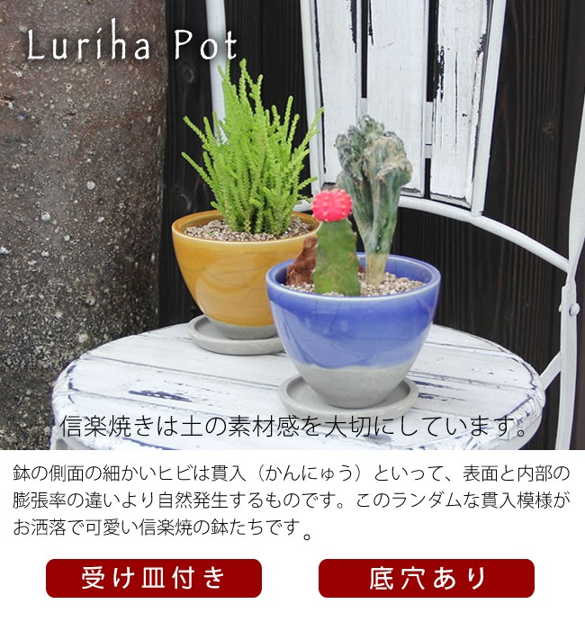 信楽焼 フラワーポット 受け皿付き 陶器植木鉢 山草鉢 サボテン鉢