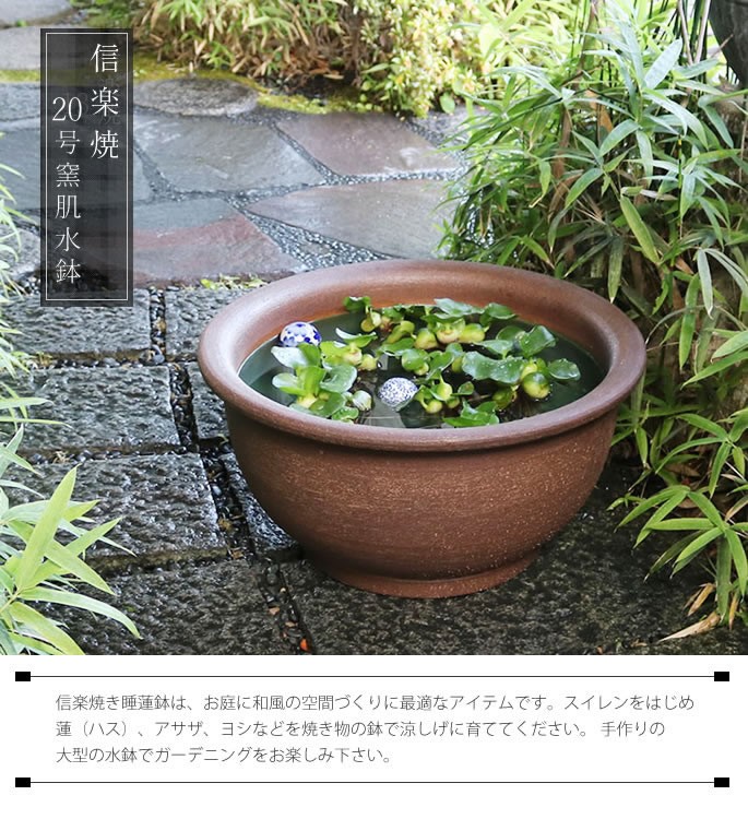 信楽焼 睡蓮鉢 メダカ鉢 おしゃれ めだか鉢 陶器 水鉢 ビオトープ
