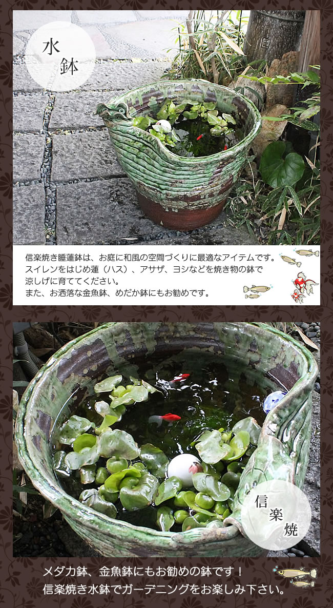 市場 水鉢 蓮 アジアン 陶器 すいれん鉢 鉢 金魚鉢 スイレン鉢 水連鉢 睡蓮鉢 和風 メダカ鉢 ビオトープ めだか鉢 水盤 ハス