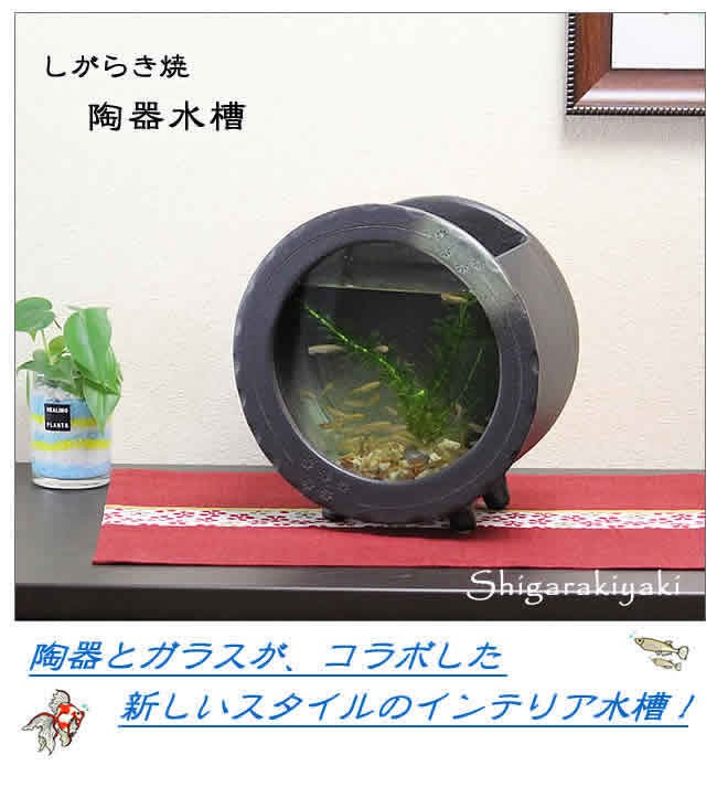 信楽焼 陶器水槽 丸型 陶器 ガラス 水槽 和風 インテリア アクアリウム