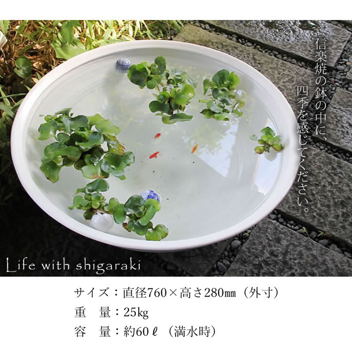 睡蓮鉢 メダカ鉢 金魚鉢