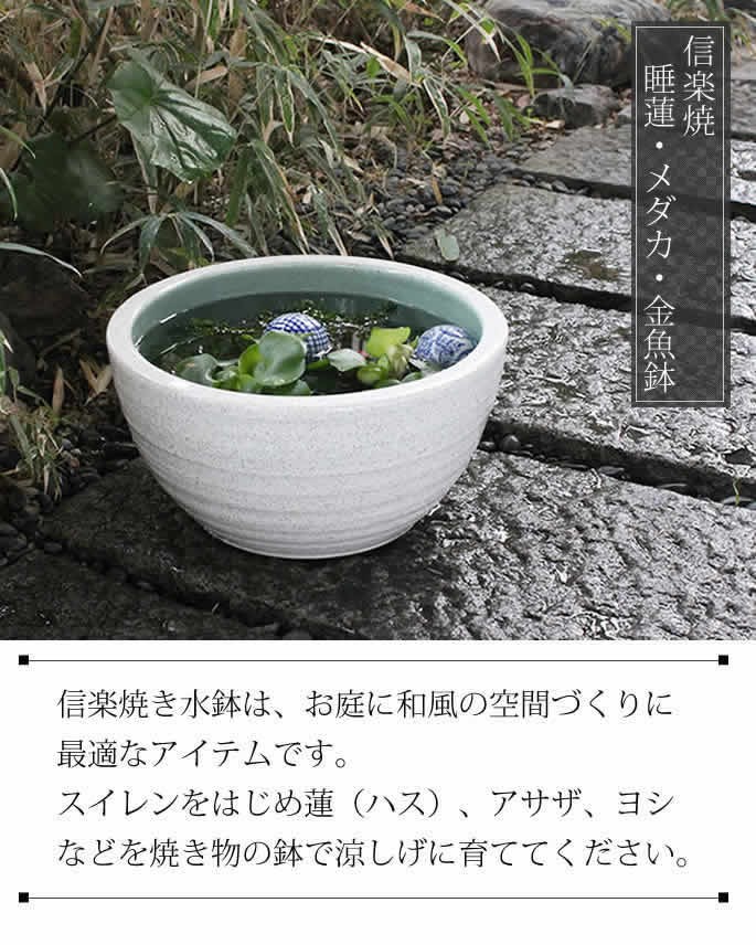 在庫有 金魚鉢 おしゃれ 睡蓮鉢 陶器 メダカ鉢 信楽焼 古陶水鉢 めだか鉢 水鉢 ビオトープづくりに 水蓮鉢 すいれん鉢 彩り屋 メール便全国送料無料 Nhisrodas Com