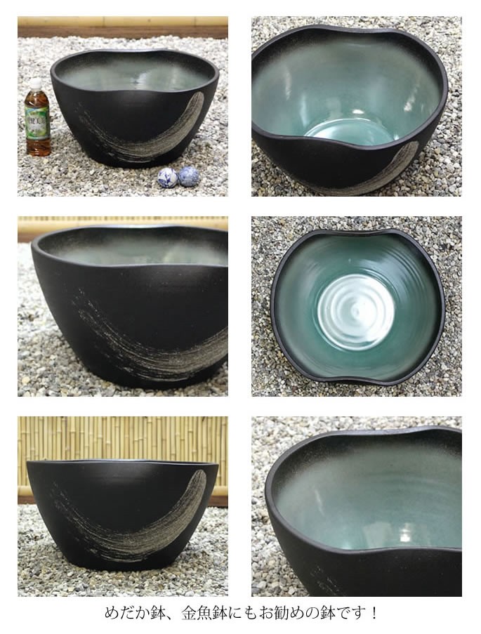 信楽焼 睡蓮鉢 メダカ鉢 おしゃれ めだか鉢 陶器 水鉢 ビオトープ