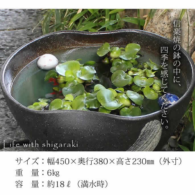 信楽焼 睡蓮鉢 メダカ鉢 おしゃれ めだか鉢 陶器 水鉢 ビオトープ