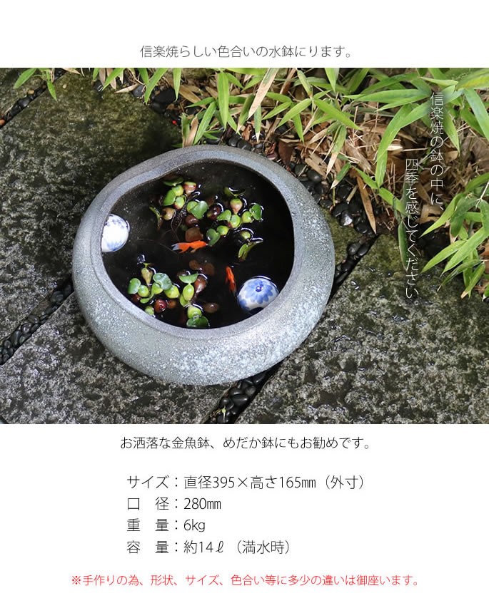 特別送料無料の水鉢 メダカ鉢 ビオトープ 信楽焼 園芸用品 金魚鉢 すいれん鉢 スイレン鉢 陶器 めだか鉢 陶器 鉢 手水鉢 スイレン鉢 睡蓮鉢 睡蓮 やきもの ビオトープ Su 0179 Su 0179 しがらき