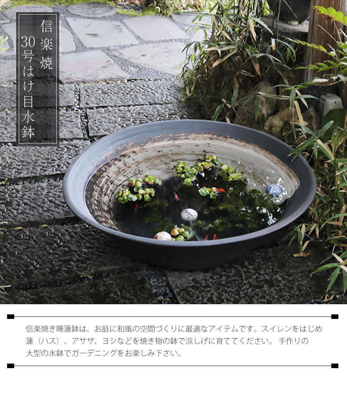 睡蓮鉢 メダカ鉢 金魚鉢
