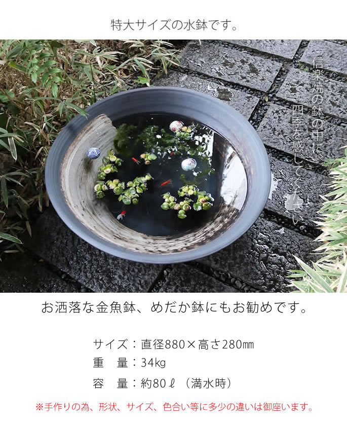 睡蓮鉢 メダカ鉢 金魚鉢