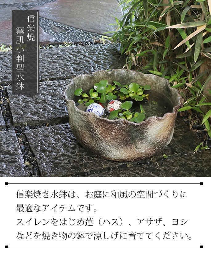 信楽焼 メダカ鉢 金魚鉢 睡蓮鉢 水鉢 手水鉢 すいれん鉢 陶器 めだか鉢 ハス鉢 水連鉢 鉢 睡蓮 13号小判型水鉢 Su 03 Su 03 しがらき 通販 Yahoo ショッピング