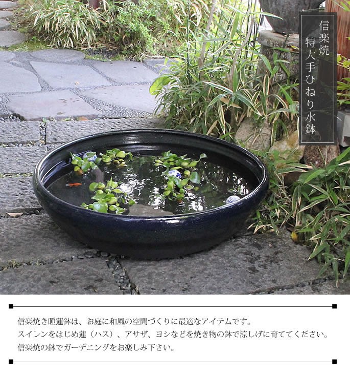 信楽焼 睡蓮鉢 メダカ鉢 おしゃれ めだか鉢 陶器 水鉢 ビオトープ