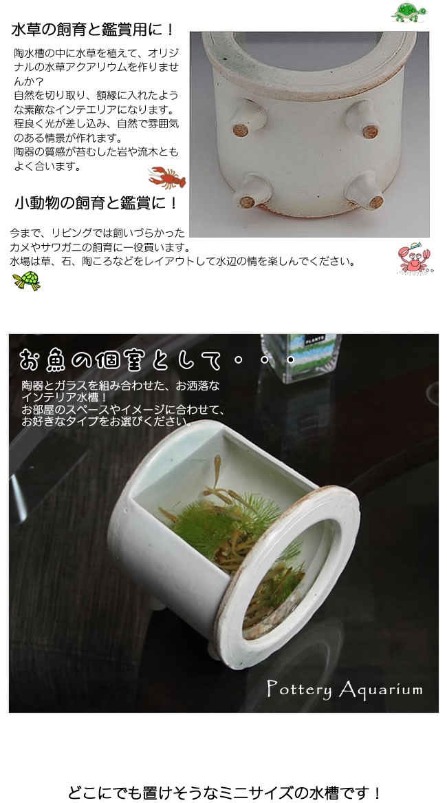 信楽焼 陶器水槽 陶器 ガラス 水槽 和風 インテリア メダカ鉢 信楽焼 陶器水槽 陶器 ガラス 水槽 和風 インテリア メダカ鉢