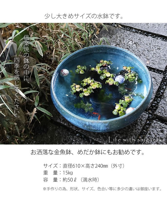 信楽焼 睡蓮鉢 メダカ鉢 めだか鉢 陶器 水鉢 ビオトープ 金魚鉢 信楽焼