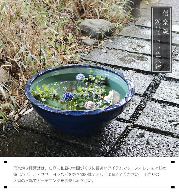 su-0240-image1.jpg