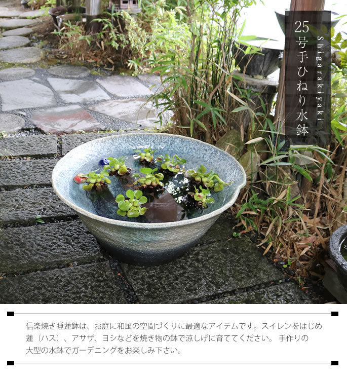 信楽焼 睡蓮鉢 メダカ鉢 おしゃれ めだか鉢 陶器 水鉢 ビオトープ