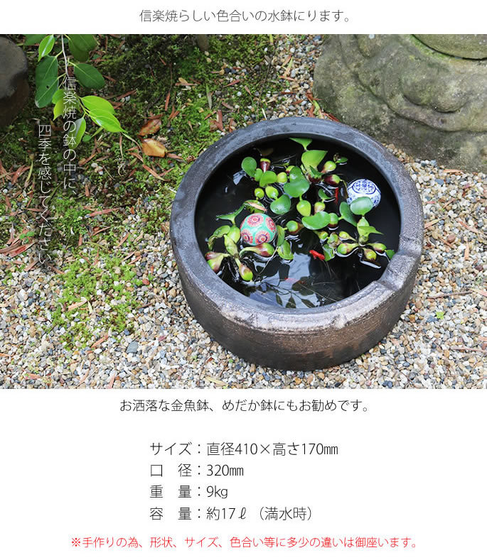 美しい 金魚鉢 メダカ鉢 信楽焼 水鉢 すいれん鉢 陶器 鉢 陶器 めだか鉢 睡蓮鉢 手水鉢 睡蓮 スイレン鉢 やきもの ビオトープ 蓮 ハス 陶器鉢 Su 0260 宅送 Www Staips Net