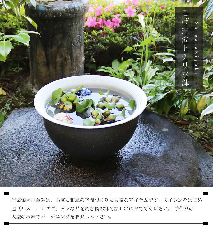 水鉢 睡蓮鉢 火鉢 水がめ 水草 メダカ 金魚鉢 庭壺