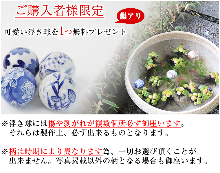信楽焼 睡蓮鉢 メダカ鉢 おしゃれ めだか鉢 陶器 水鉢 ビオトープ